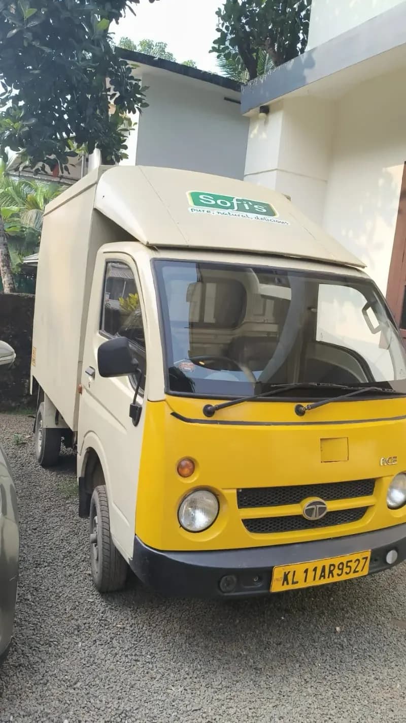 2013 Tata Motors Ace in yellow — photo 2 of 4