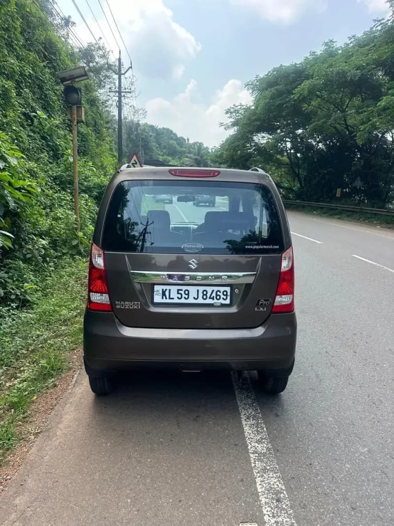 2014 Maruti Suzuki Wagon R LXi Pro Limited Edition in brown — photo 4 of 6